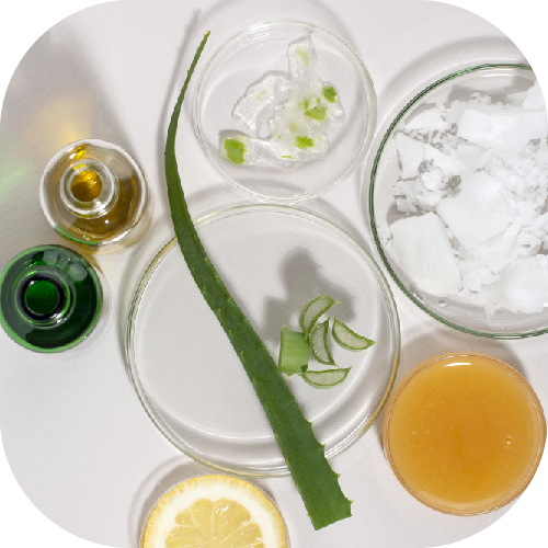 02 Active Ingredients