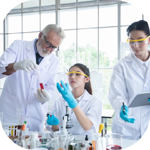 Key competitive dynamics