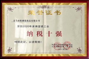 Development History8